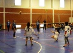 2voleibol inic femin 2014 1