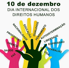 DiainternacionalDH2014