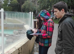 a ponte escola ciencia azul 3