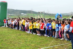 cortamato regional 2014 01