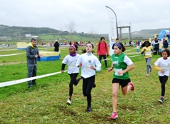 cortamato regional 2014 23