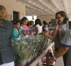 feira plamtas 4