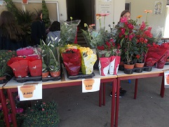 feira plantas 2016 1