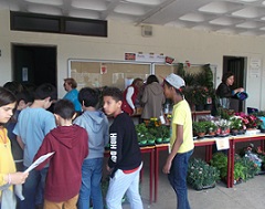 feira plantas 2016 2