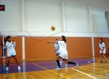 voleibol dez 2013 2