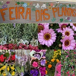 Feira_das_Plantas_EBM_2023.jpg