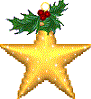 christmas star 814393