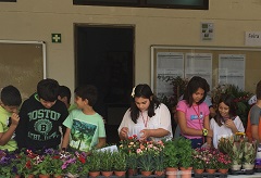 feira plantas 01