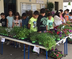 feira plantas 05