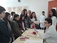 laboratorio aberto 2