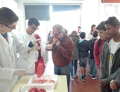 laboratorio aberto 3