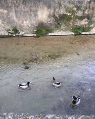 visita estudo biodiversidade 2