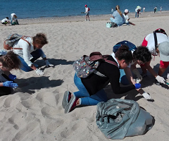 campanha limpeza praia 2