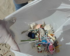 campanha limpeza praia 7