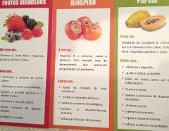 dia alimentacao frutos