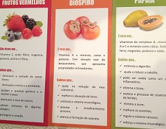 dia alimentacao frutos