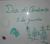 dia eco escolas 0