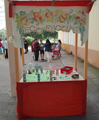 dia eco escolas 11