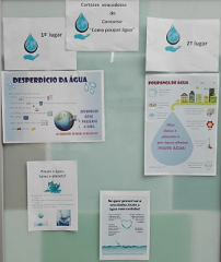 dia eco escolas agua