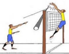 voleibol 1