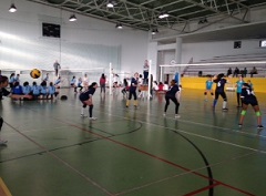 voleibol if 3