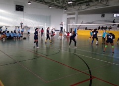 voleibol if 4